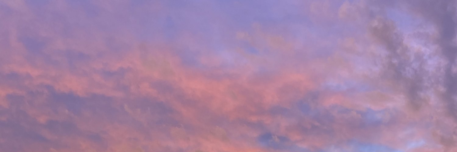 belengarbuglia_'s profile banner image