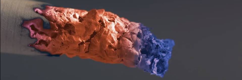 quejastras's profile banner image