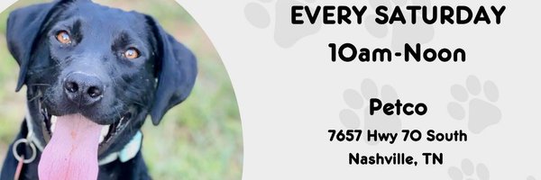 TNProverbs1210 Profile Banner