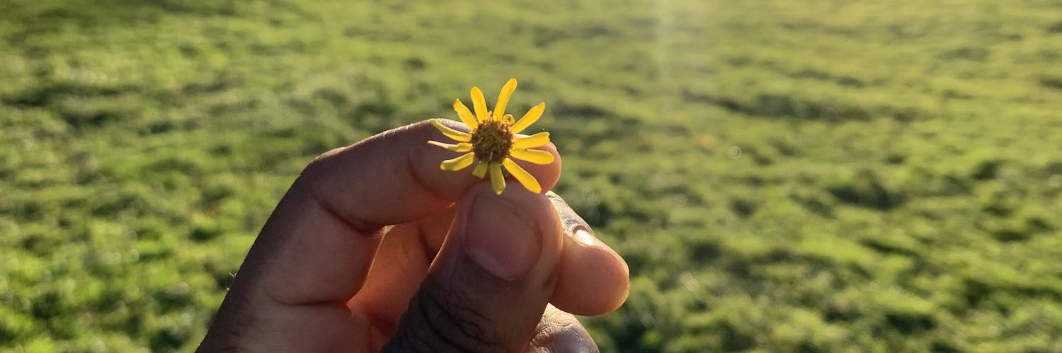 Jekanyika| @tedoex@techhub.social banner