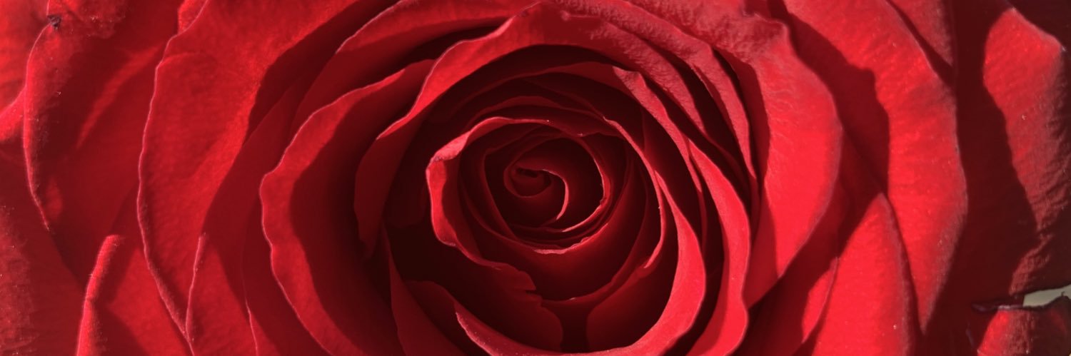 loretoo_028's profile banner image