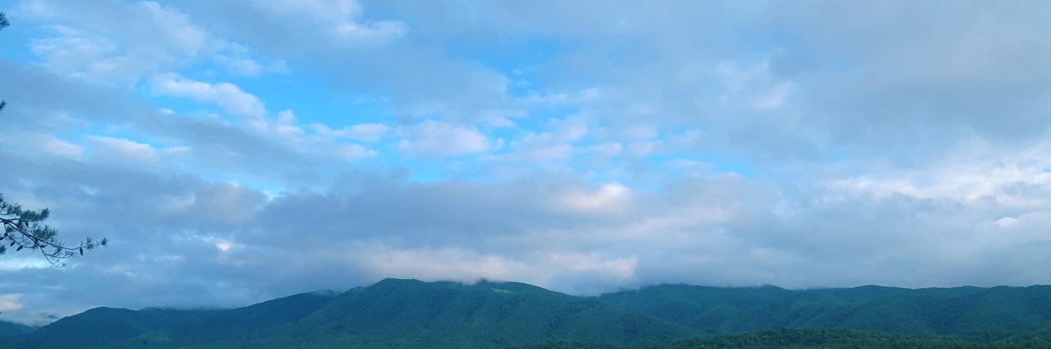 Sandyyy11's profile banner image