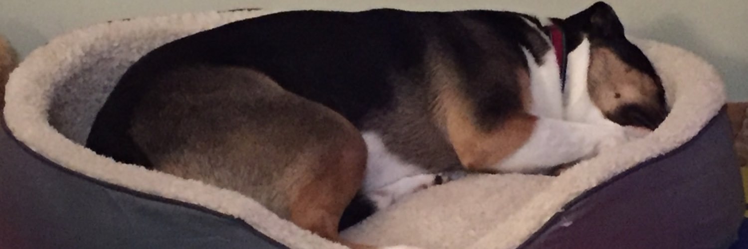 danlrix's profile banner image