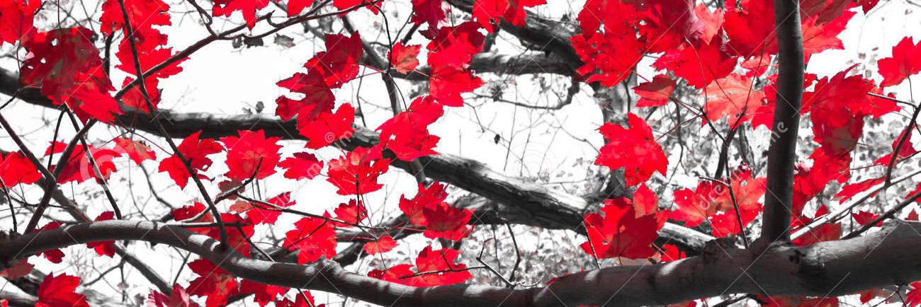 mm_matthews's profile banner image