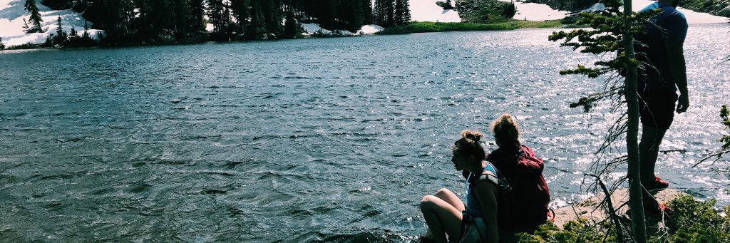 Lizz_Anne's profile banner image