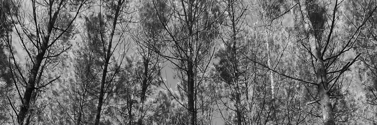 anmustofaa's profile banner image