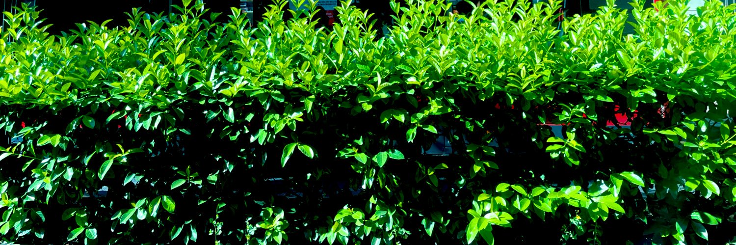 txekeleteverde's profile banner image