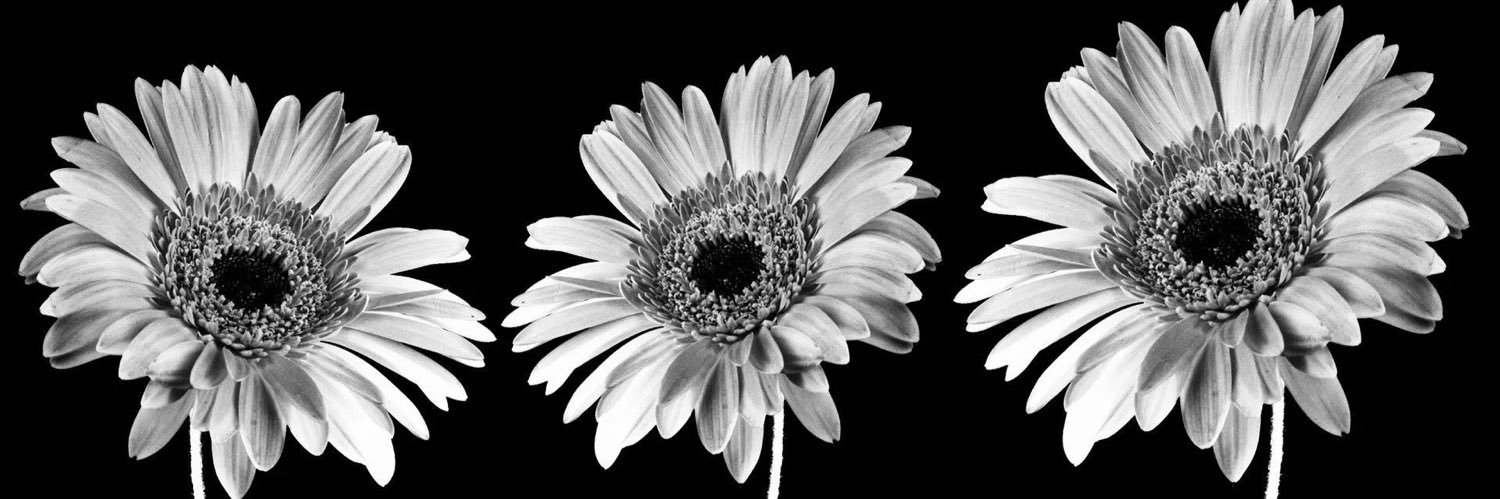 Adriannn8's profile banner image