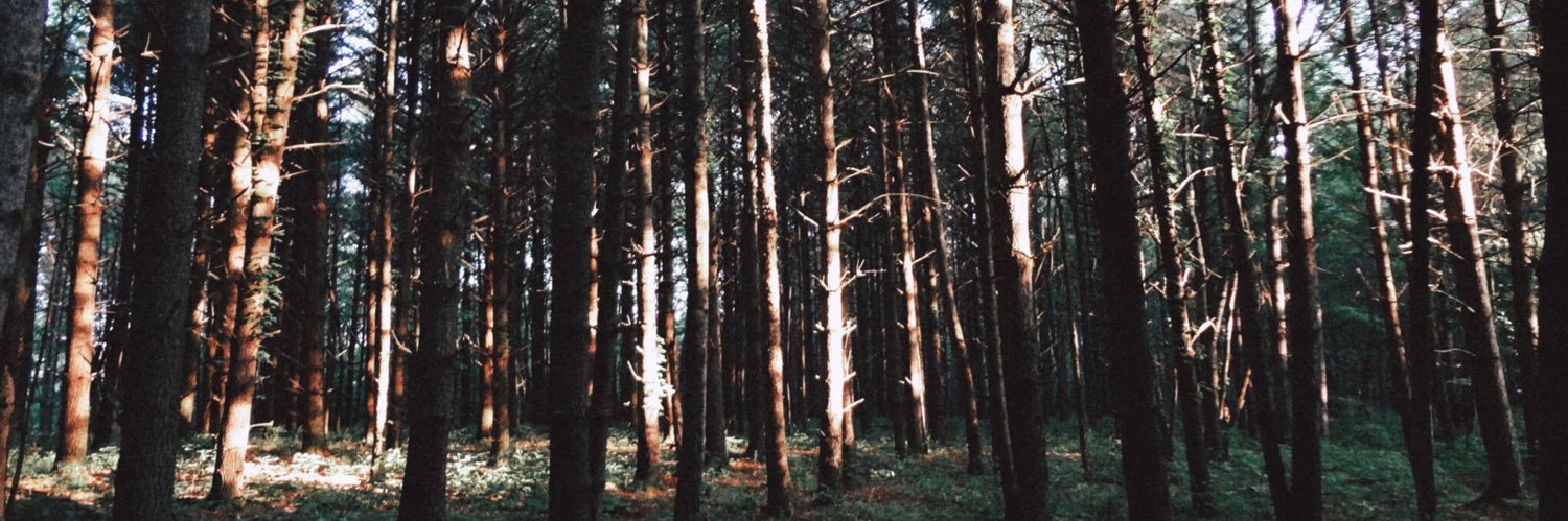 davidpbailey_'s profile banner image
