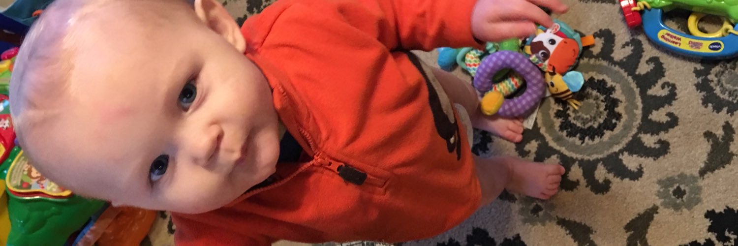 NickRedFox's profile banner image