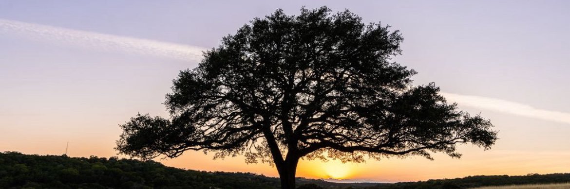 Wolfram Gauglitz banner