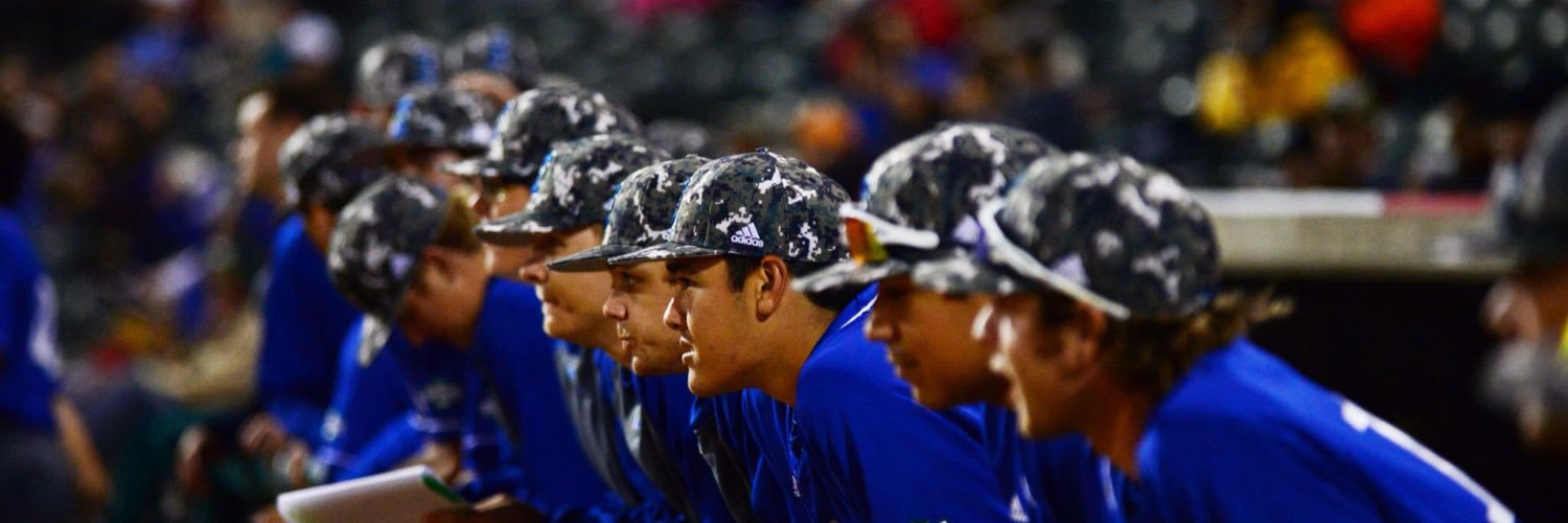 Islanders Baseball banner