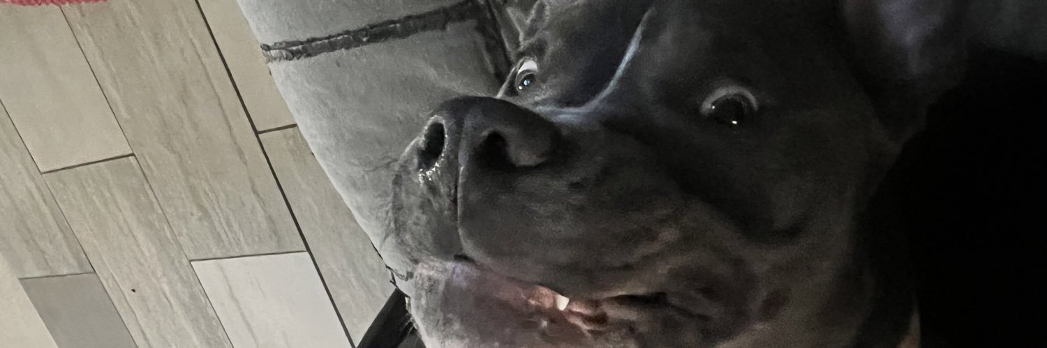 _estefaniee_'s profile banner image