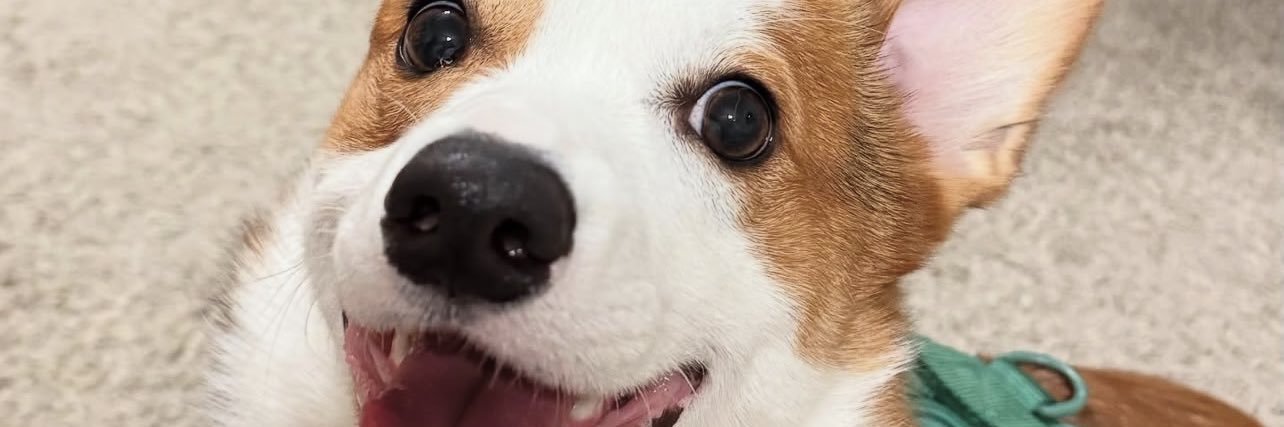 tru3azy's profile banner image