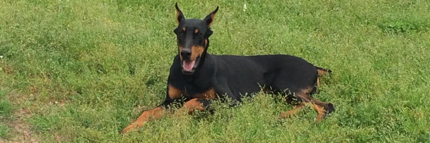 coreymbolton's profile banner image