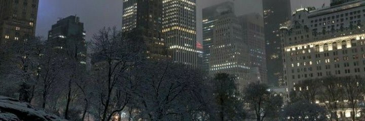 Seldy413's profile banner image