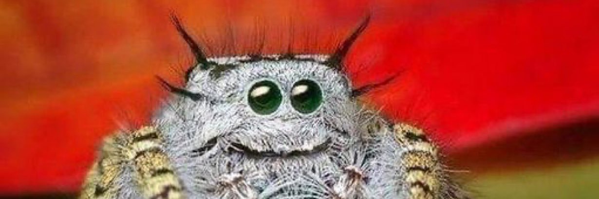 macro2779's profile banner image