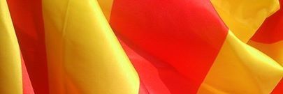 SrDavos's profile banner image