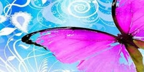 DJFoxySA's profile banner image