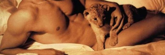 MuscularGays's profile banner image