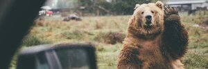 OldFredEnglish's profile banner image