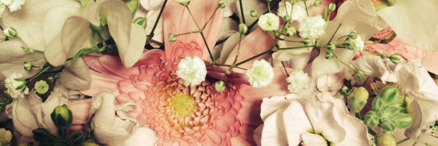 HappyMc16's profile banner image