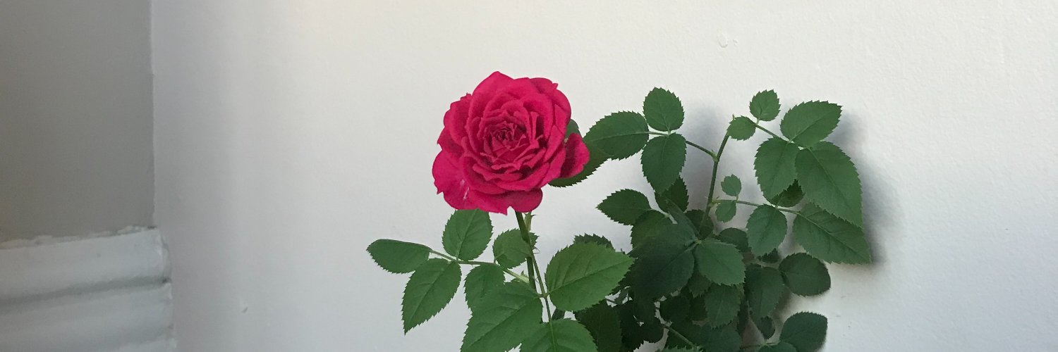 worldprinxe's profile banner image