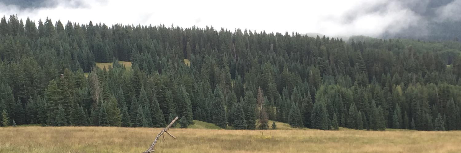 WestonSnyder's profile banner image