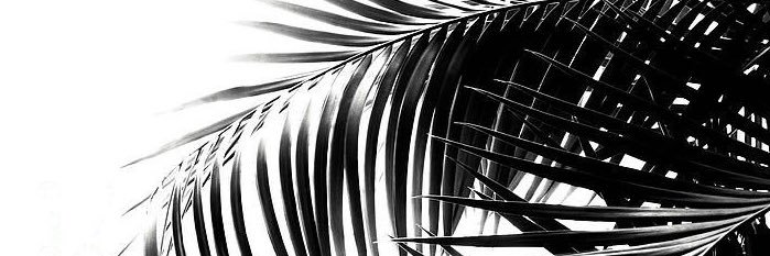 kaileytrice's profile banner image