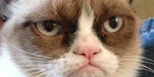 GRUMPY CAT banner