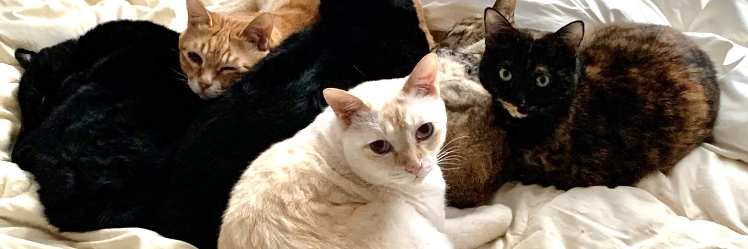 ままままっく banner