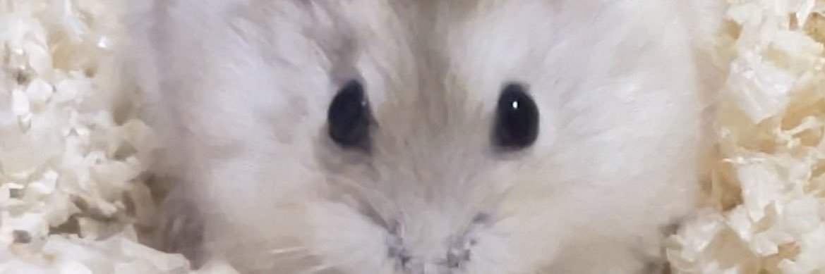 mua_i0's profile banner image