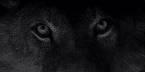 hmadOlives's profile banner image