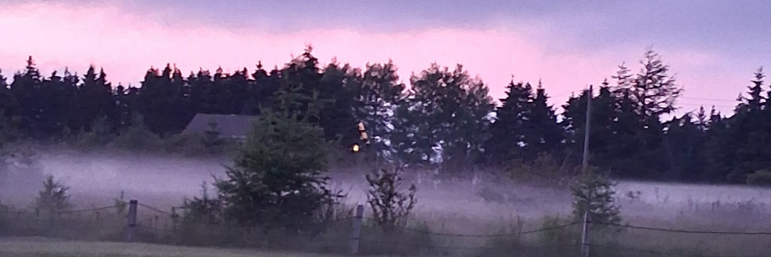 jamforgerry's profile banner image