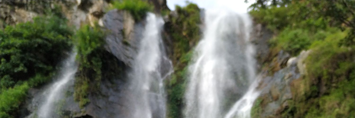 pdl_gpl's profile banner image