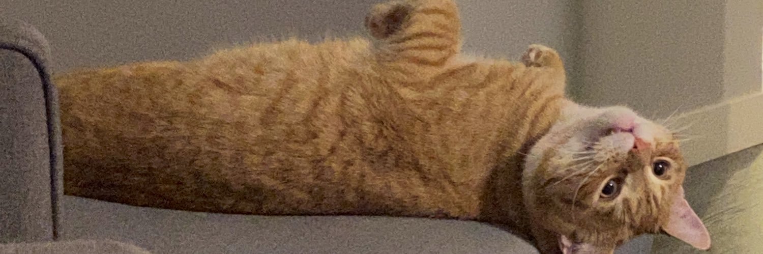 drichhhh's profile banner image