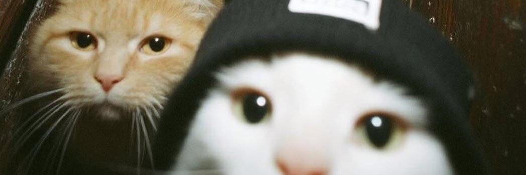 justinotbber's profile banner image