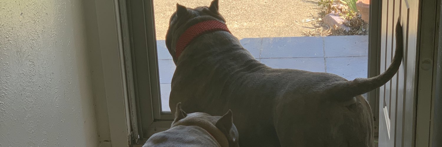 Hopeful Saints Fan banner