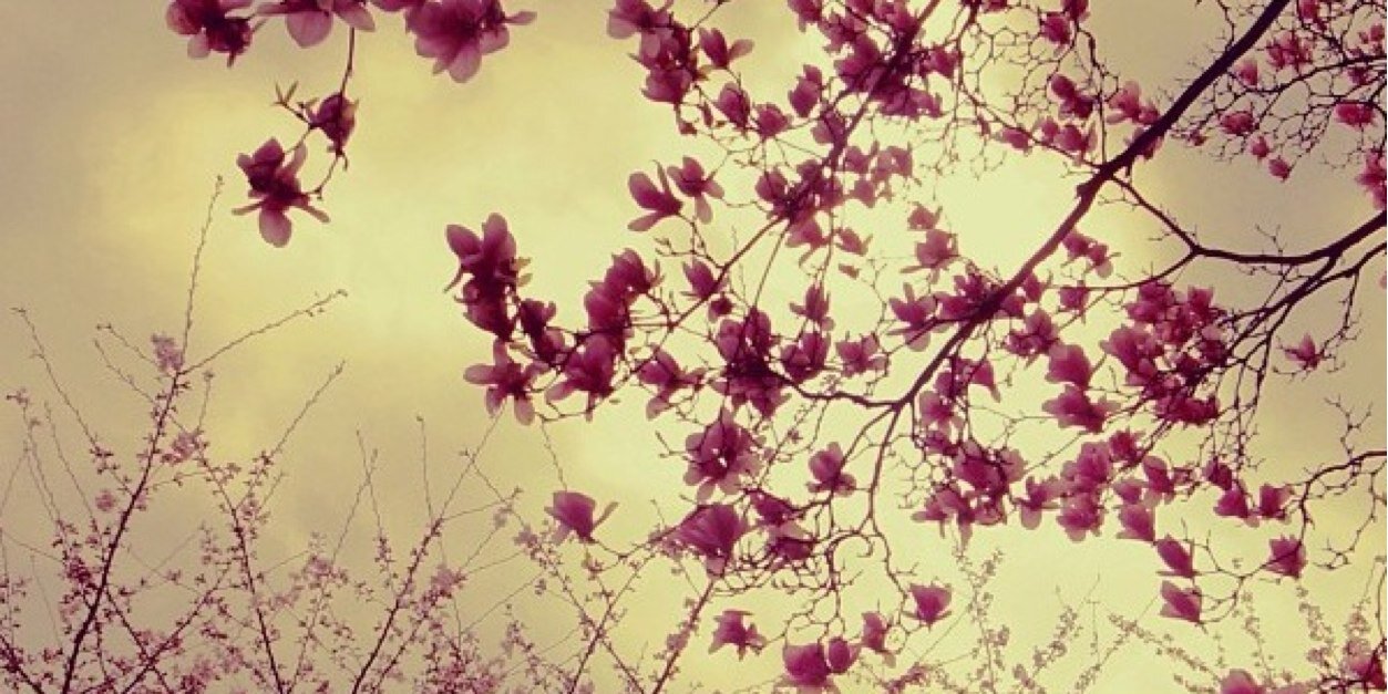 gabslogan's profile banner image