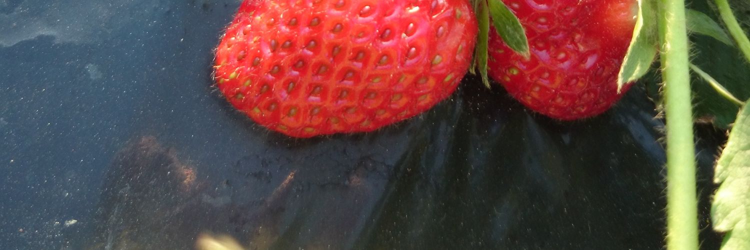 tsunatan1827's profile banner image