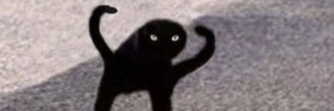 allexsux's profile banner image