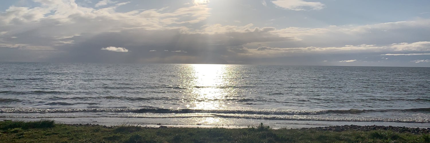 Zelda Reynolds Breingan banner