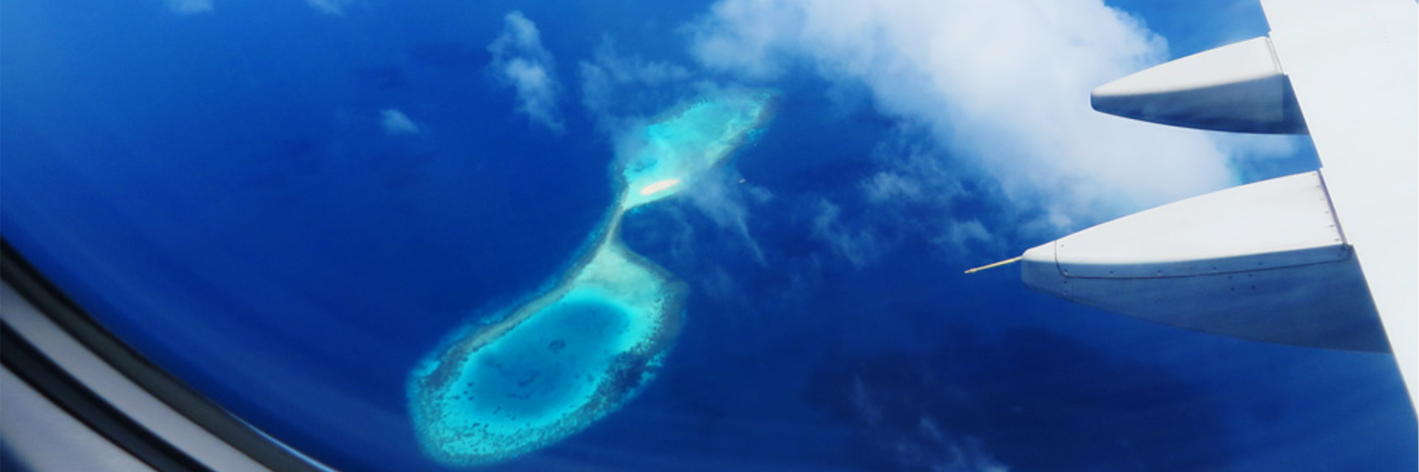 david_scuba's profile banner image