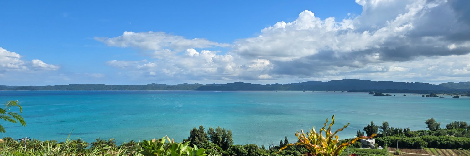 Tiger (eth | ronin) banner