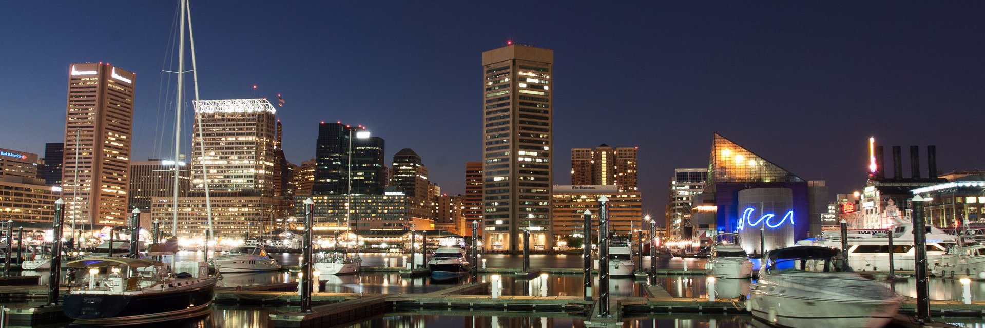 Michael Wells banner