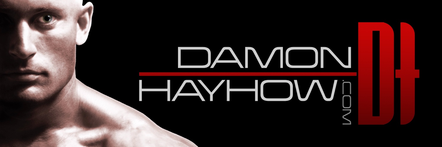 Damon Hayhow's banner