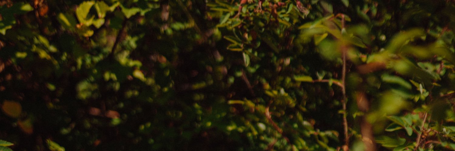 Ursuuna's profile banner image