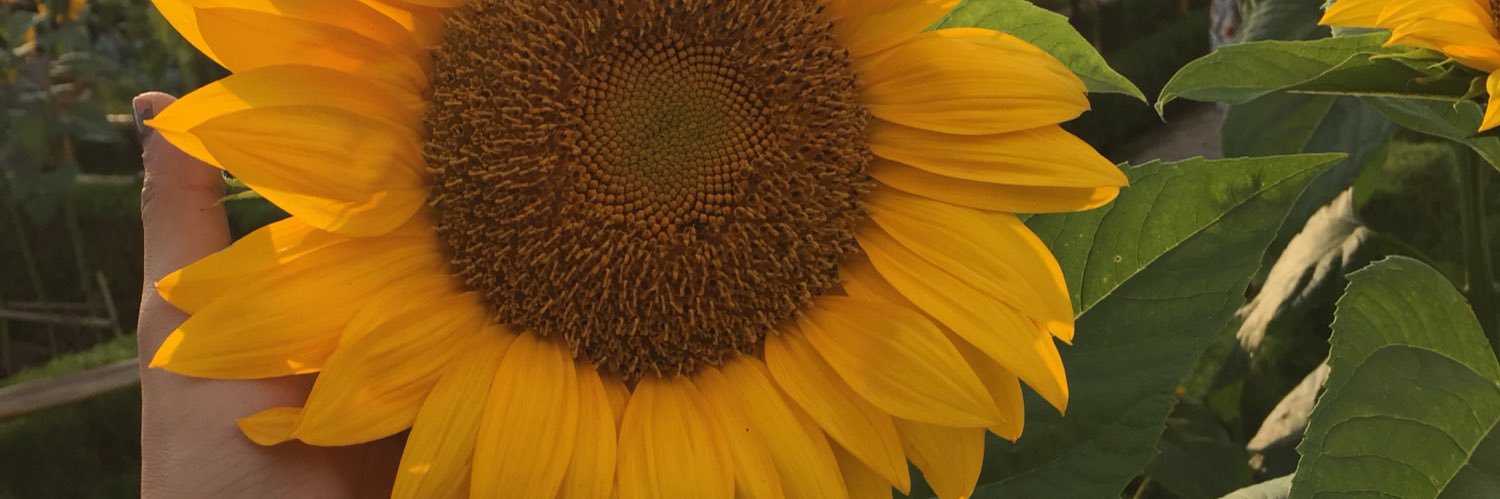 xjhrnx's profile banner image
