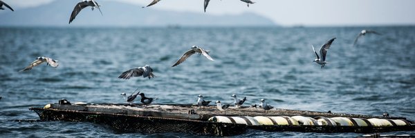 RusingaIsland Profile Banner