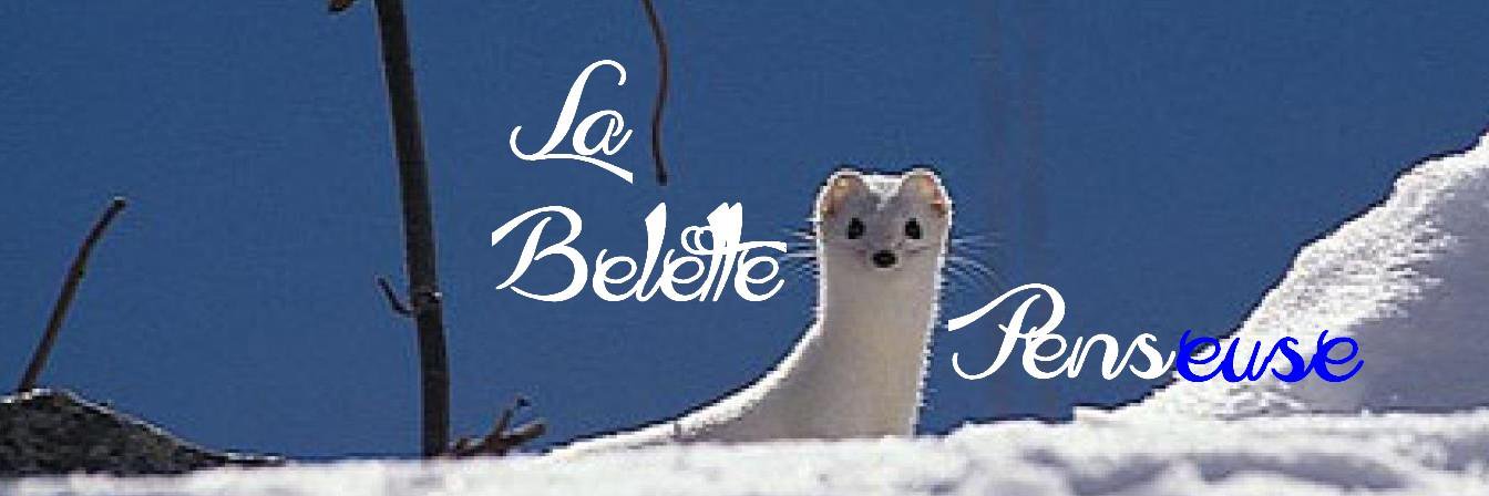 LaBelettePense's profile banner image